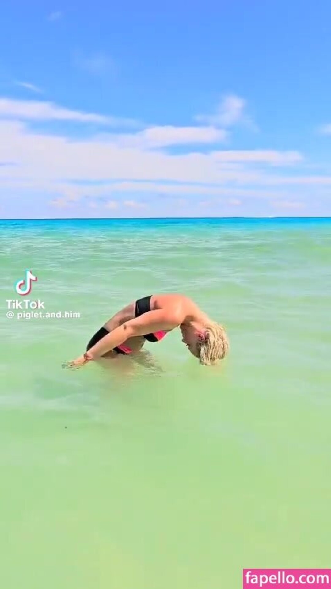 Piglet And Him haut étoile image