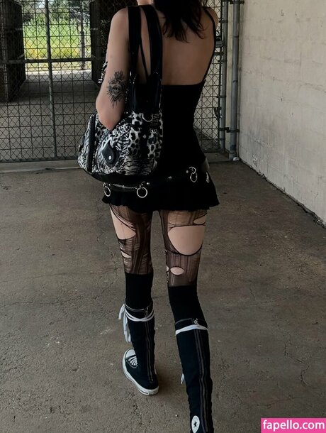 Vynomous étoile adulte collection