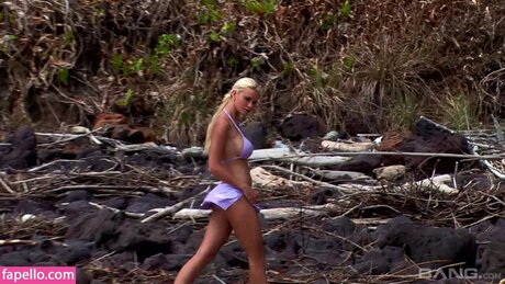 Caylian Curtis art étoile photos