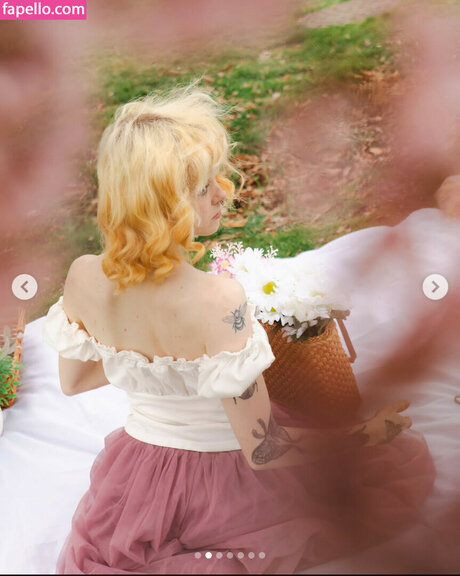 Imgiannasmith nus étoiles des photos