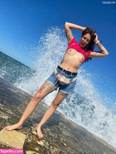 czihuahua modèle nu photo