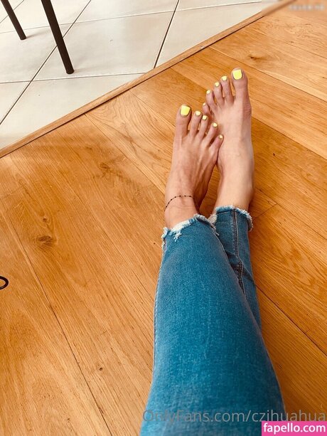 czihuahua modèle galeries