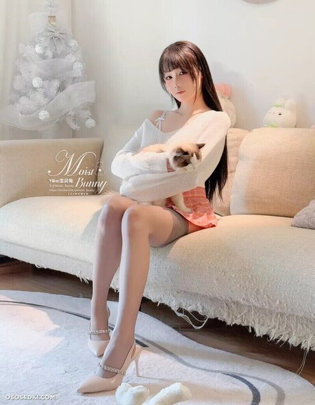 Yaokoututu étoile img