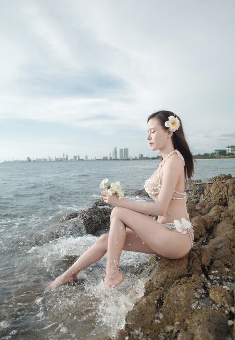 Cream Chabodee étoile exclusive galeries