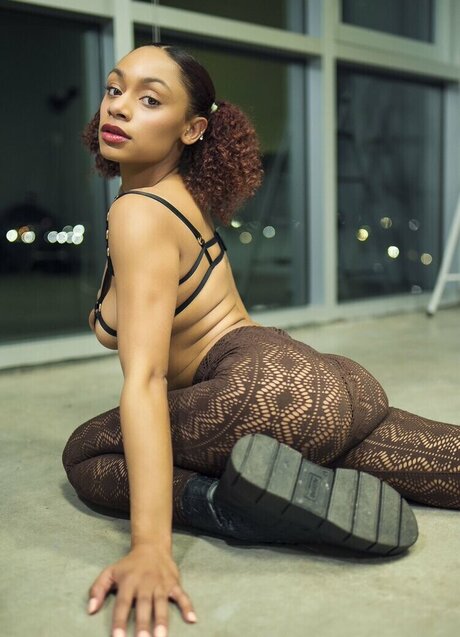 Tpnaomi star du sexe collection