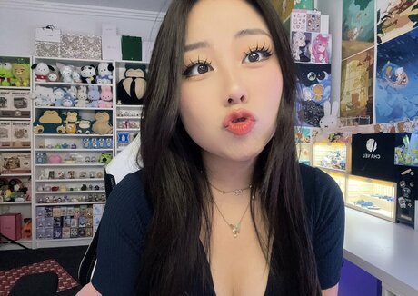 Hanavocado modèle de haute qualité galerie