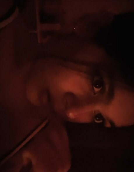 xyz riin top star collection