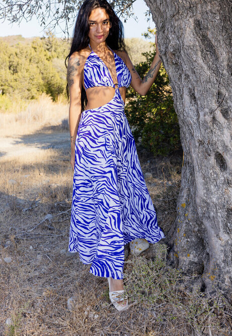 Dulce Rivera star du porno chaude collection