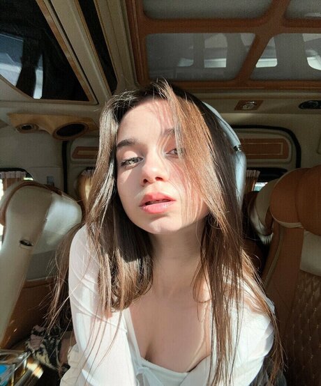 Leytink étoile de haute qualité collection