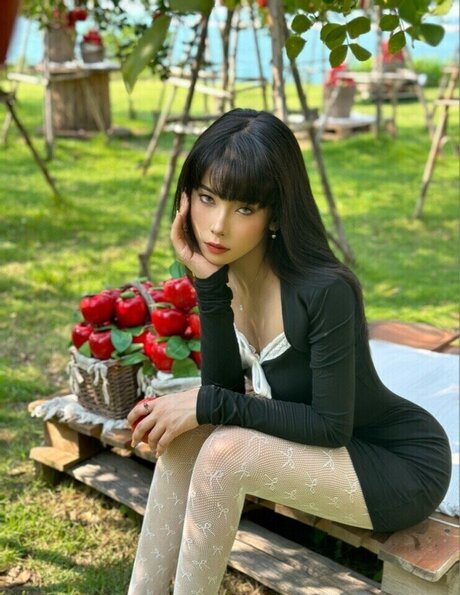 jjayyerr_ étoile de haute qualité photos