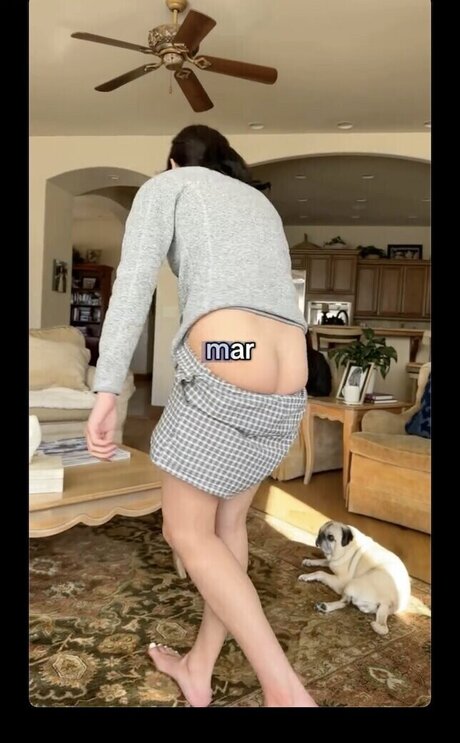 Cascina Caradonna star du porno de haute qualité image