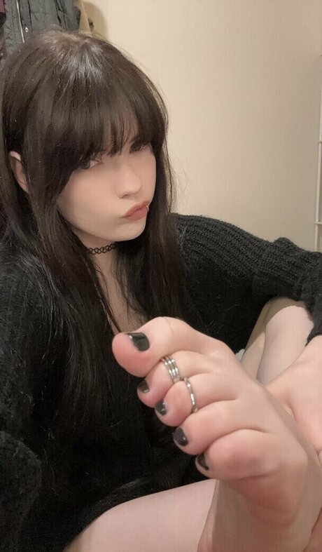 isizzly étoile galerie