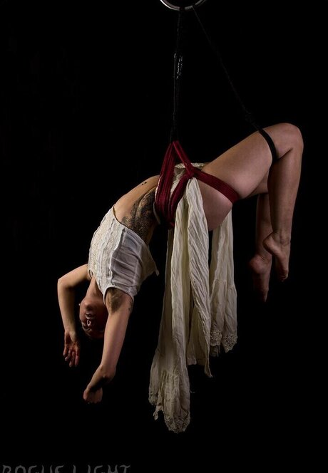 Space11kitten étoile gratuite des photos