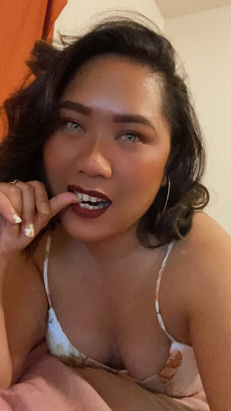 Jovell étoile collection