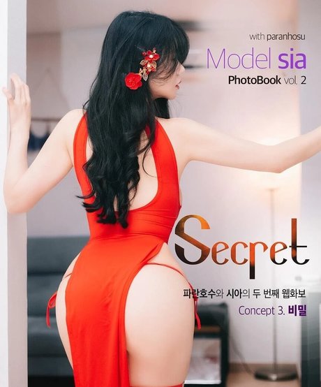 Sia s2 20 modèle artistique galeries