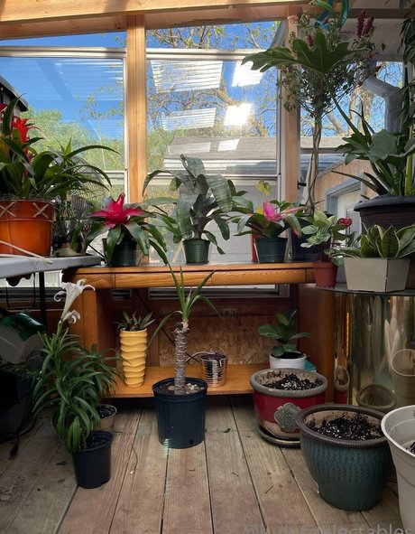 judythegreatfreepage Profilfoto