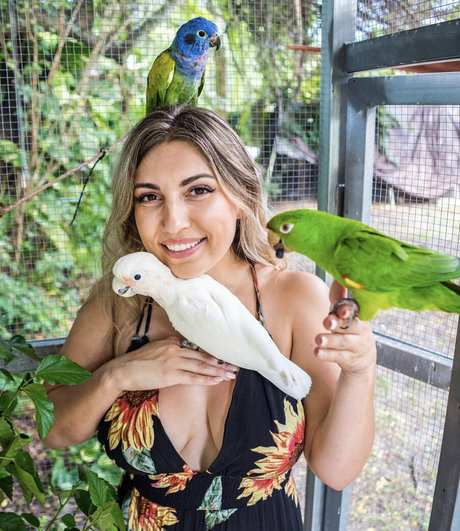 fans de gothique potelé uniquement haut gratuit collection