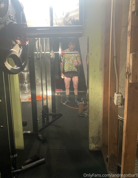 andregotbars étoile de haute qualité galerie