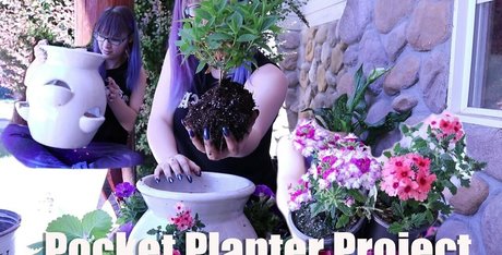 wildwylieafterhours art modèle collection