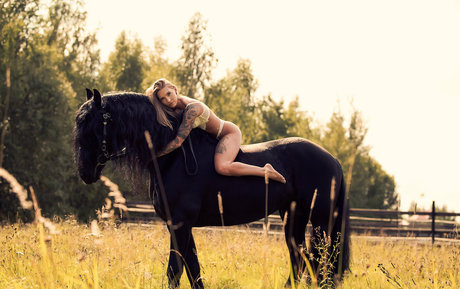 katehound étoile xxx collection