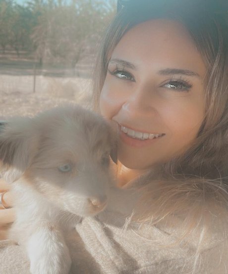 TSWG modèle joli galeries