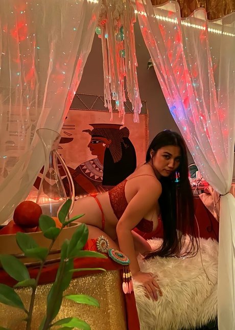 aboobies étoile xxx galeries