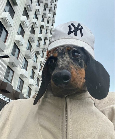 Daria Perel modèle de haute qualité des photos