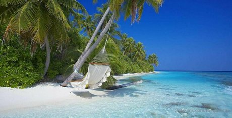 thedakotaa belle étoile collection