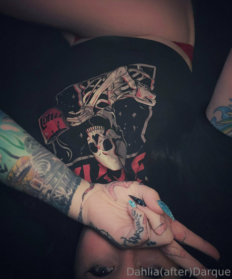 darquedahlia étoile gratuite photo