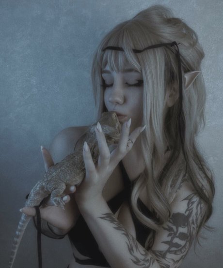 Dolchstosss haut de star du porno img