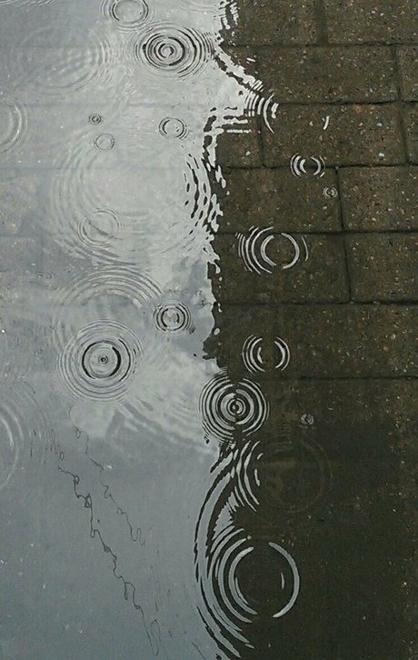 chaton potelé uniquementfans porno nus archive