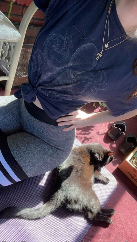 herbivorewh0revip star du porno belle galeries