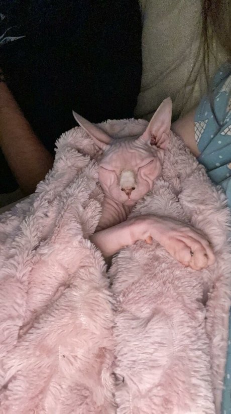 sxvvk actrice exclusive galerie