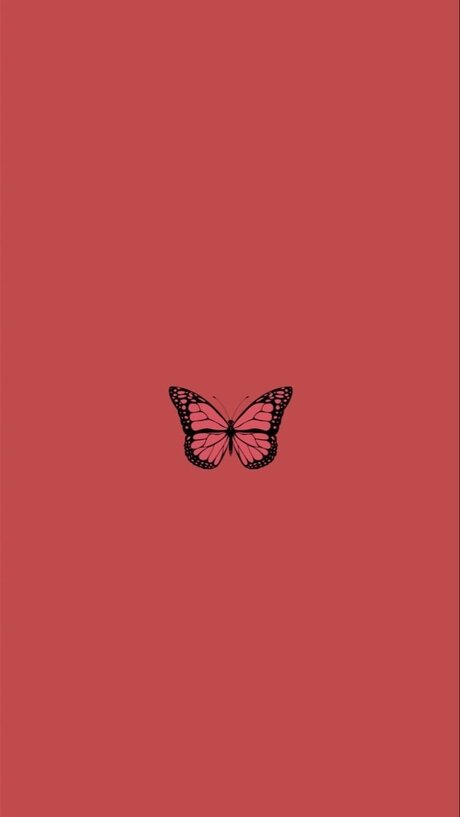 briennebabe étoile exclusive archive