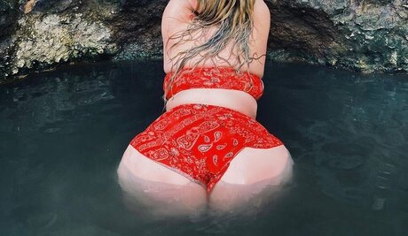 Niqu_ nus de stars du porno images