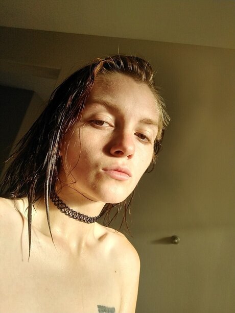 Liz 3 étoile magnifique img