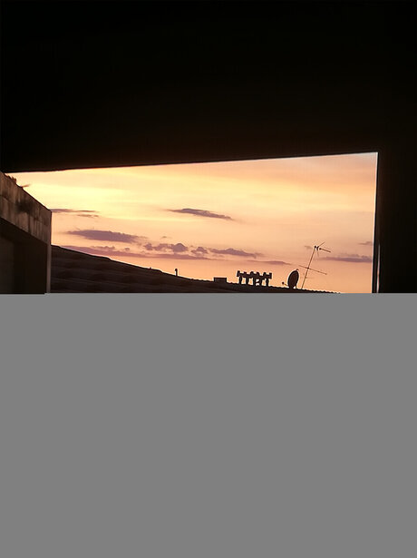 icebulls star du porno adulte galeries