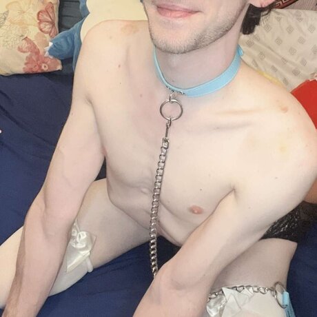 Fractal Whimsy modèle chaud galeries