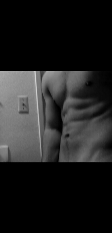 _STALLION_ haut de star du porno collection