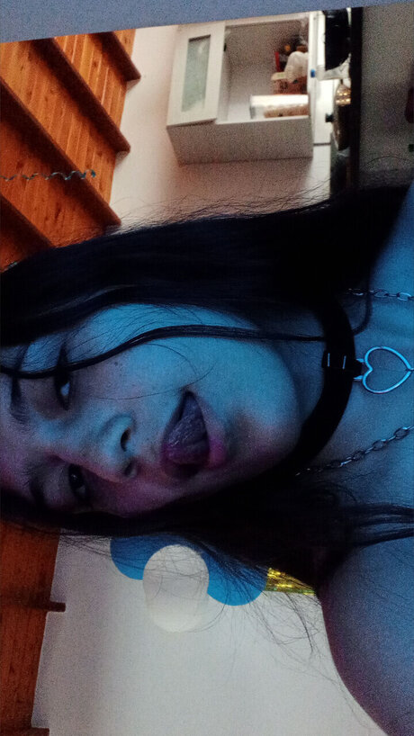 mileg star exclusive galeries