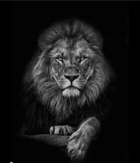 double fans uniquement nus image