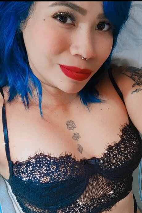 Blue Cat modèle img