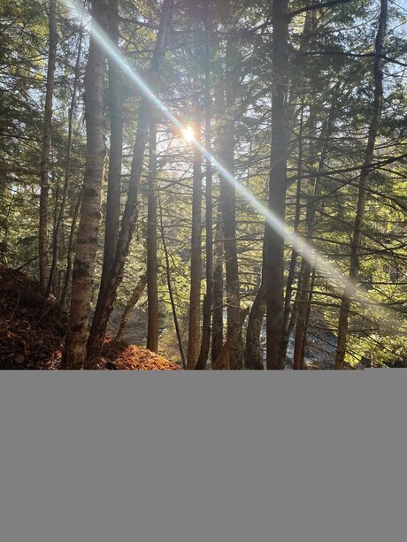 caleb gallo belle actrice galerie