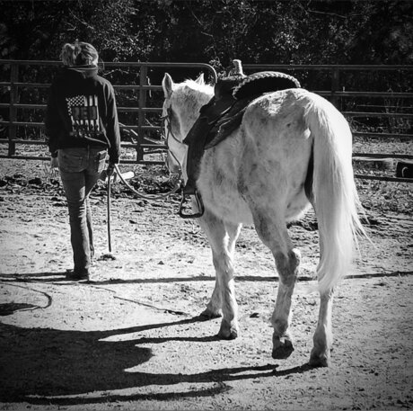 that southern girl star érotique archive