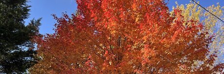 Southerncub star du sexe galeries