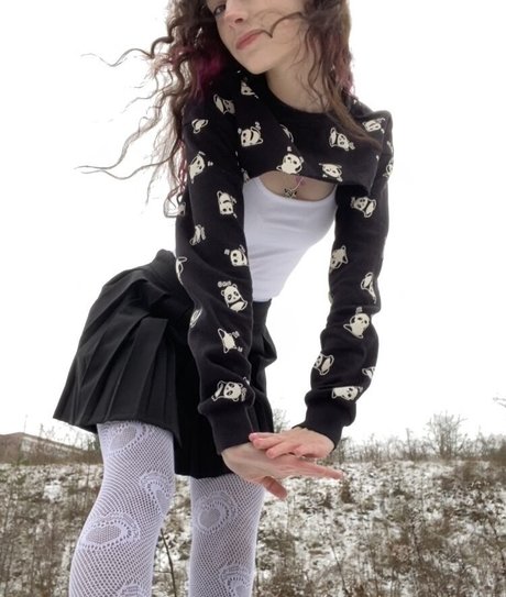 Nestix top star galerie