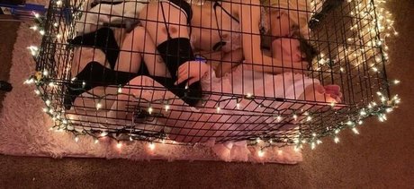 Cassie Coyote Fotoaufnahmen