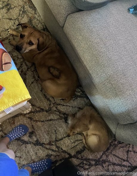 maddymay69 étoile magnifique photo