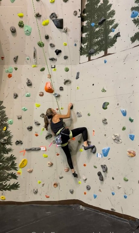 shellyrock modèle archive