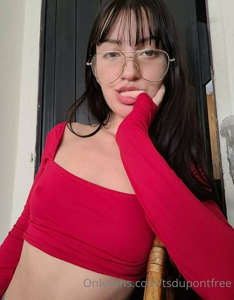 tsdupontfree étoile hd collection